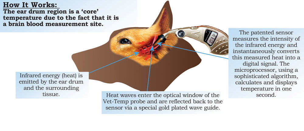 pet ear thermometer