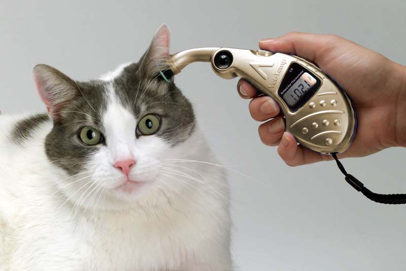 pet ear thermometer